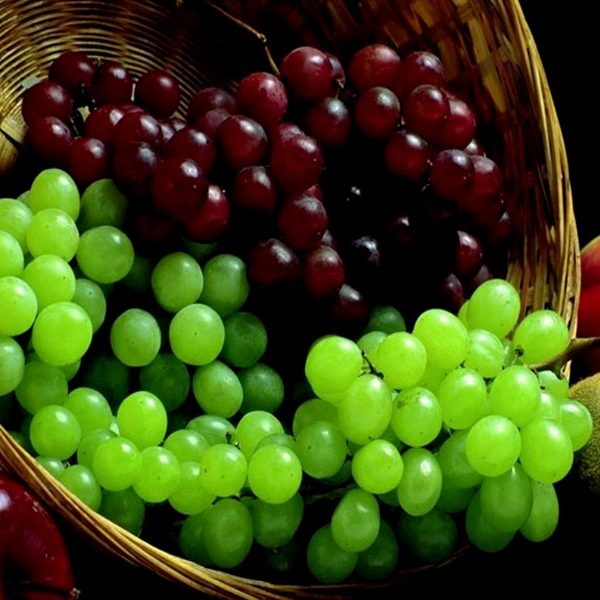 kangal boru imalatı